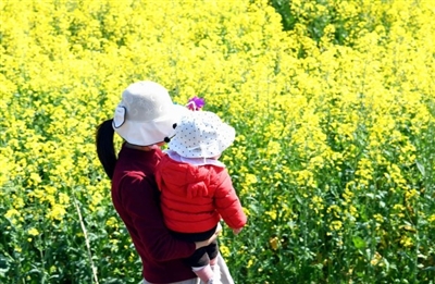 通山楊獅坑村油菜花節(jié)再升級(jí) 農(nóng)旅融合 花海迎客