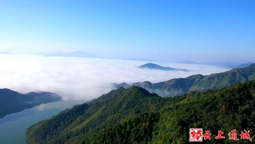 喜訊！咸寧多了一個“中國天然氧吧”